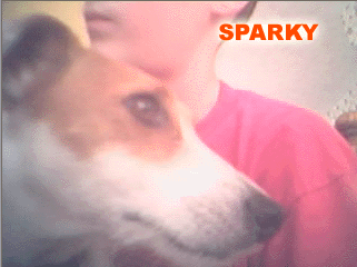 sparkyy! idnt he cuute??